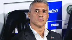 Treinador segue livre no mercado - Foto: Ettore Chiereguini/AGIF.