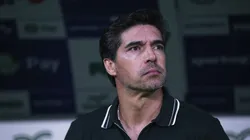 Abel Ferreira, treinador do Verdão