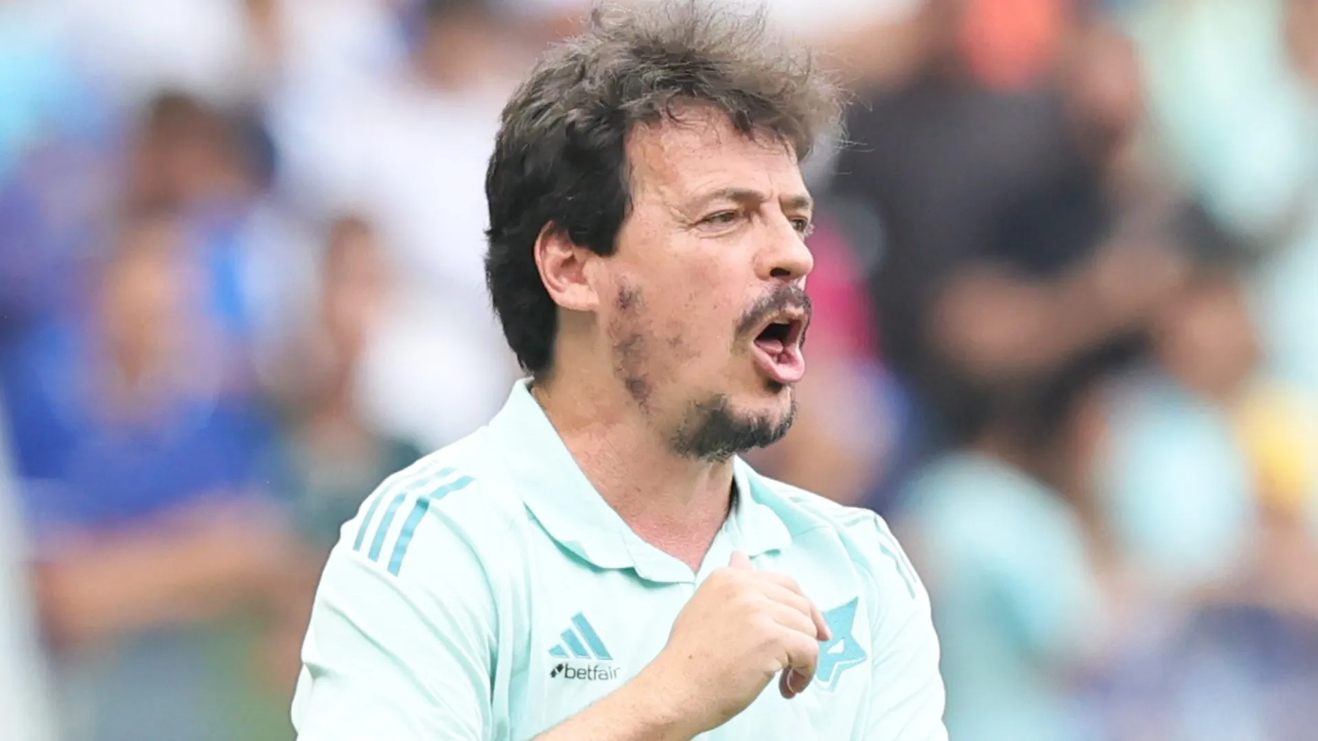 Fernando Diniz, ex-técnico do Cruzeiro