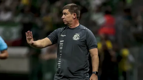 Auxiliar do Mirassol durante partida contra o Palmeiras. Foto: Marco Miatelo/AGIF