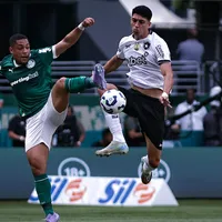 Palmeiras não vence o Botafogo como mandante há quatro anos