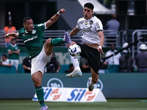 Palmeiras não vence o Botafogo como mandante há quatro anos