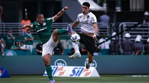 Palmeiras recebe o Botafogo no Allianz Parque. Foto: Fabio Giannelli/AGIF
