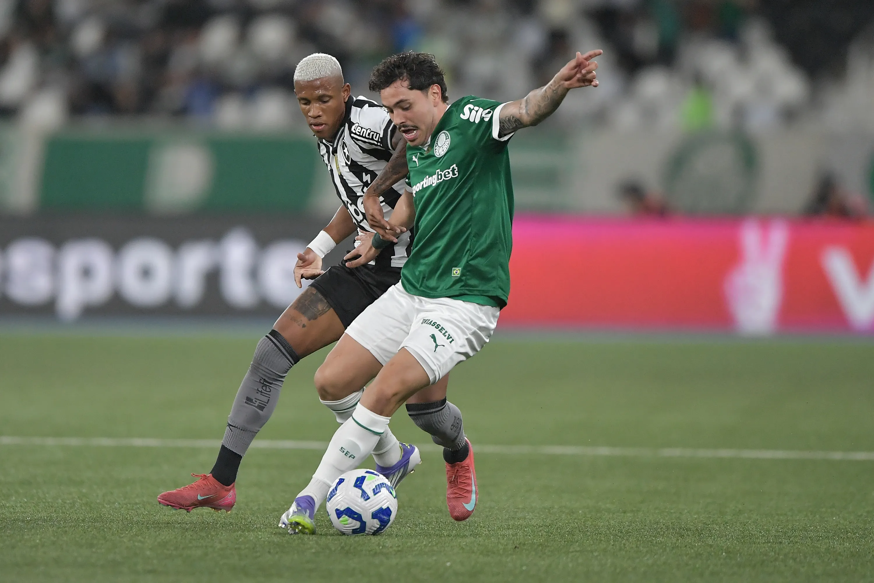 Palmeiras venceu o Botafogo no último jogo, fora de casa. Foto: Thiago Ribeiro/AGIF
