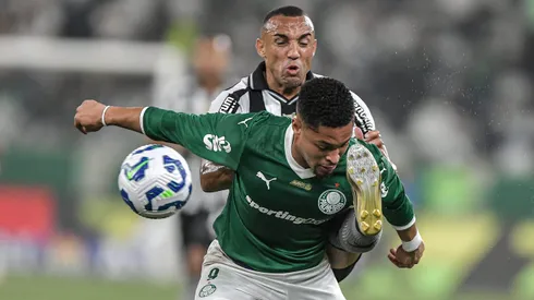 Palmeiras x Botafogo. Foto: Thiago Ribeiro/AGIF