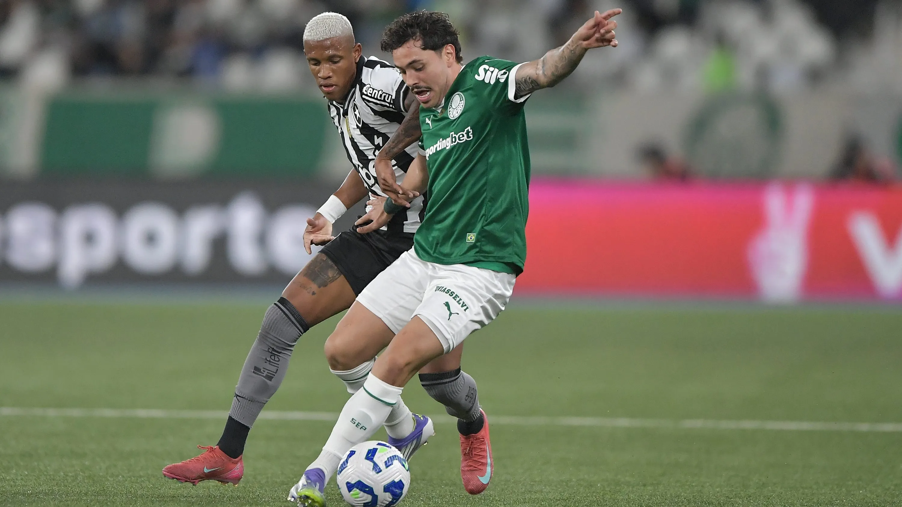 Palmeiras x Botafogo. Foto: Thiago Ribeiro/AGIF