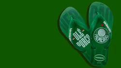 Havaianas e Palmeiras negociam patrocínio no valor de R$ 8 milhões/ano - Foto: Divulgação/Matheus Martins Fontes