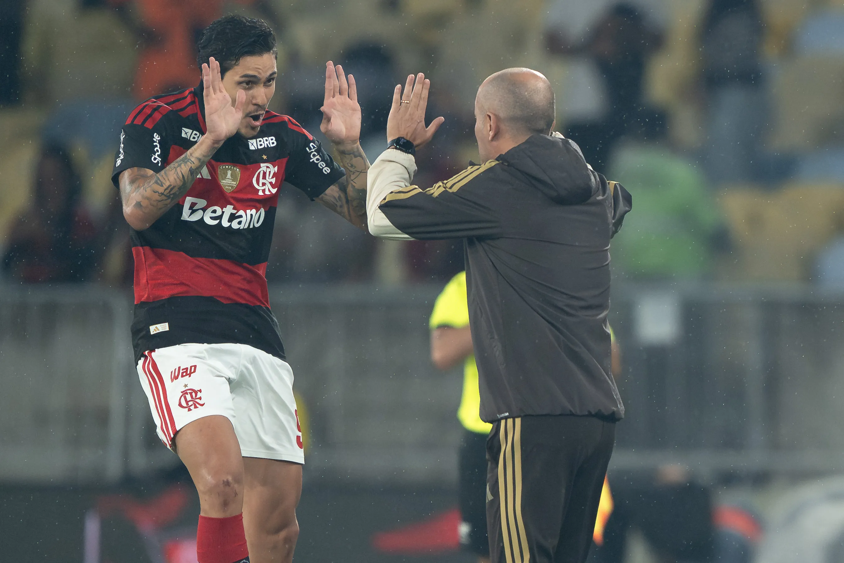 Pedro vem se destacando em início com Leonardo Jardim. Foto: Jorge Rodrigues/AGIF