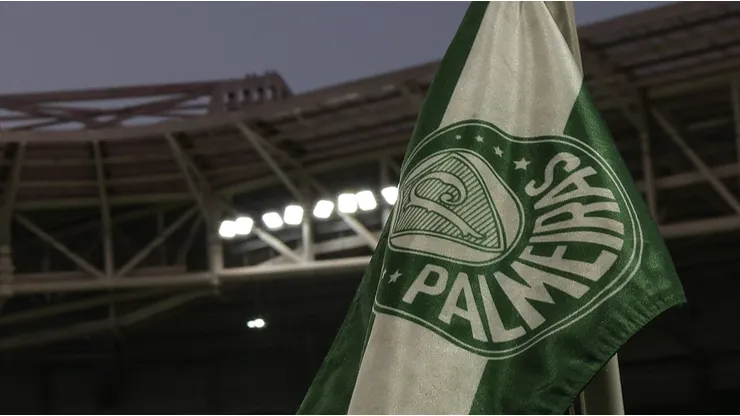 Palmeiras x Vitória será no Allianz Parque. Foto: Ettore Chiereguini/AGIF