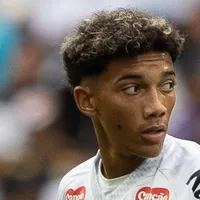 Vojvoda decide relacionar Robinho Jr para Santos x Internacional