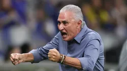 Tite está livre no mercado - Foto: Gilson Lobo/AGIF.