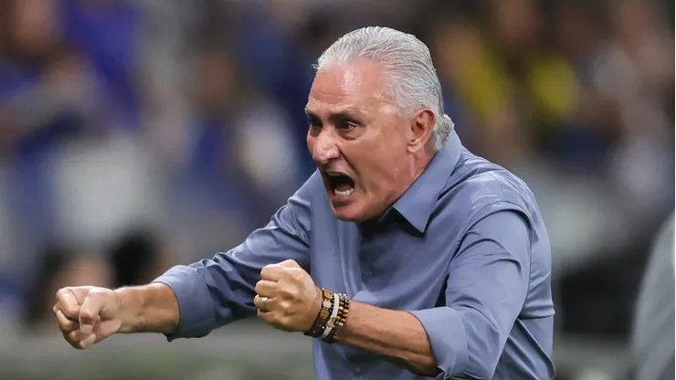 Tite está livre no mercado - Foto: Gilson Lobo/AGIF.