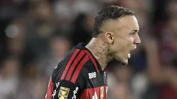 Cebolinha em campo com a camisa do Fla.
