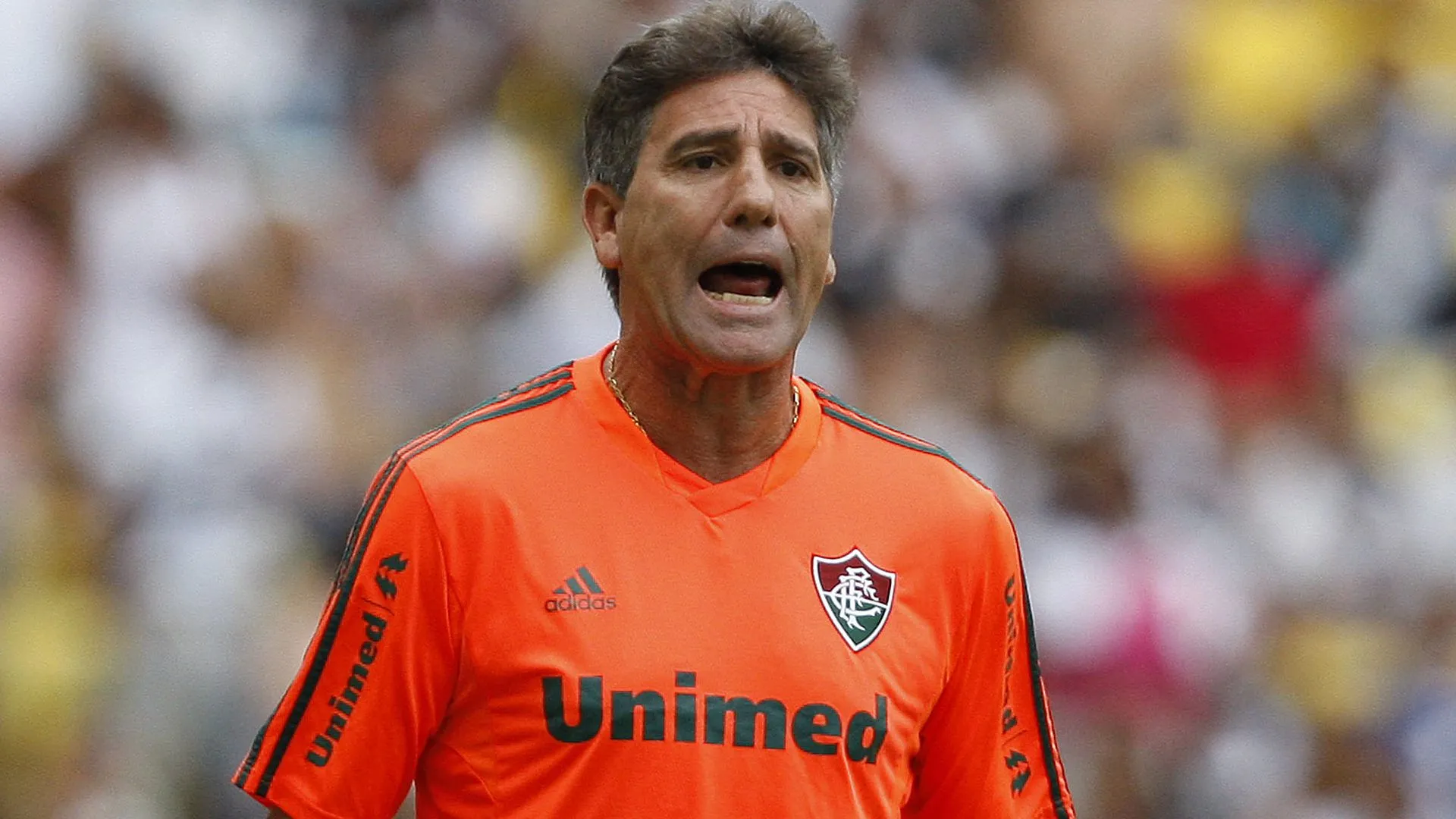 Renato Gaúcho, ex-técnico do Fluminense