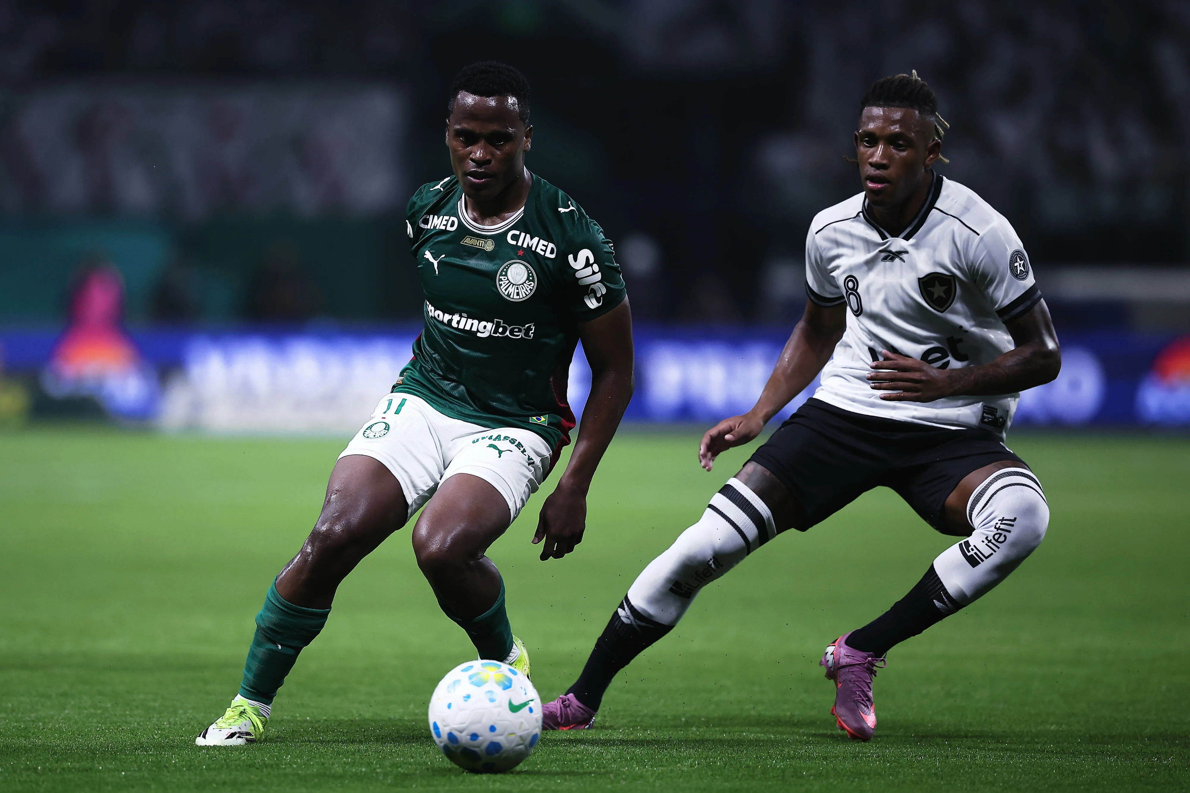 Palmeiras x Botafogo terminou com triunfo alviverde. Foto: Ettore Chiereguini/AGIF