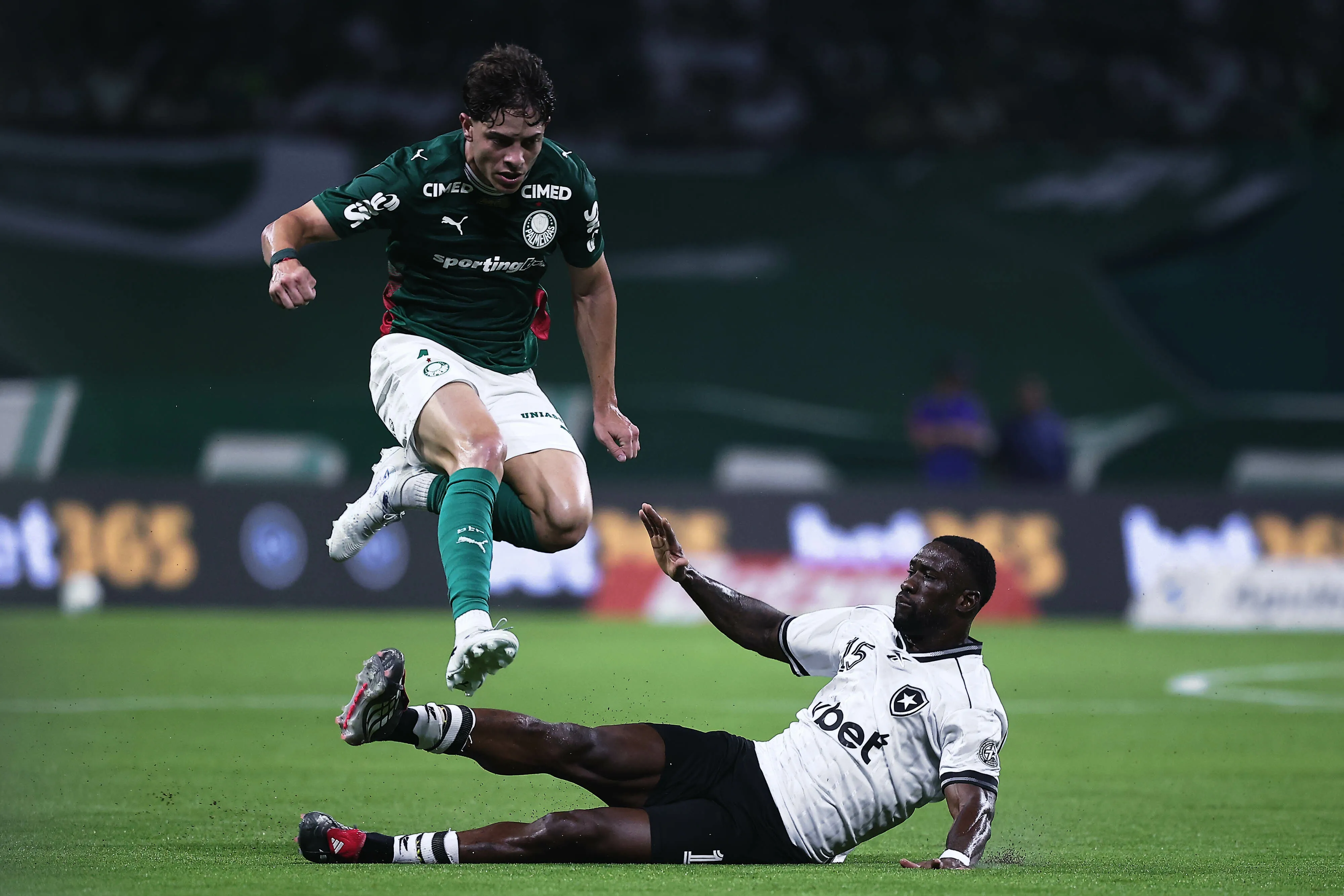 Palmeiras x Botafogo. Foto: Ettore Chiereguini/AGIF