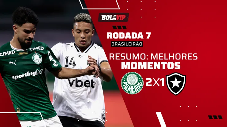 Palmeiras 2 x 1 Botafogo. Foto: Marcello Zambrana/AGIF