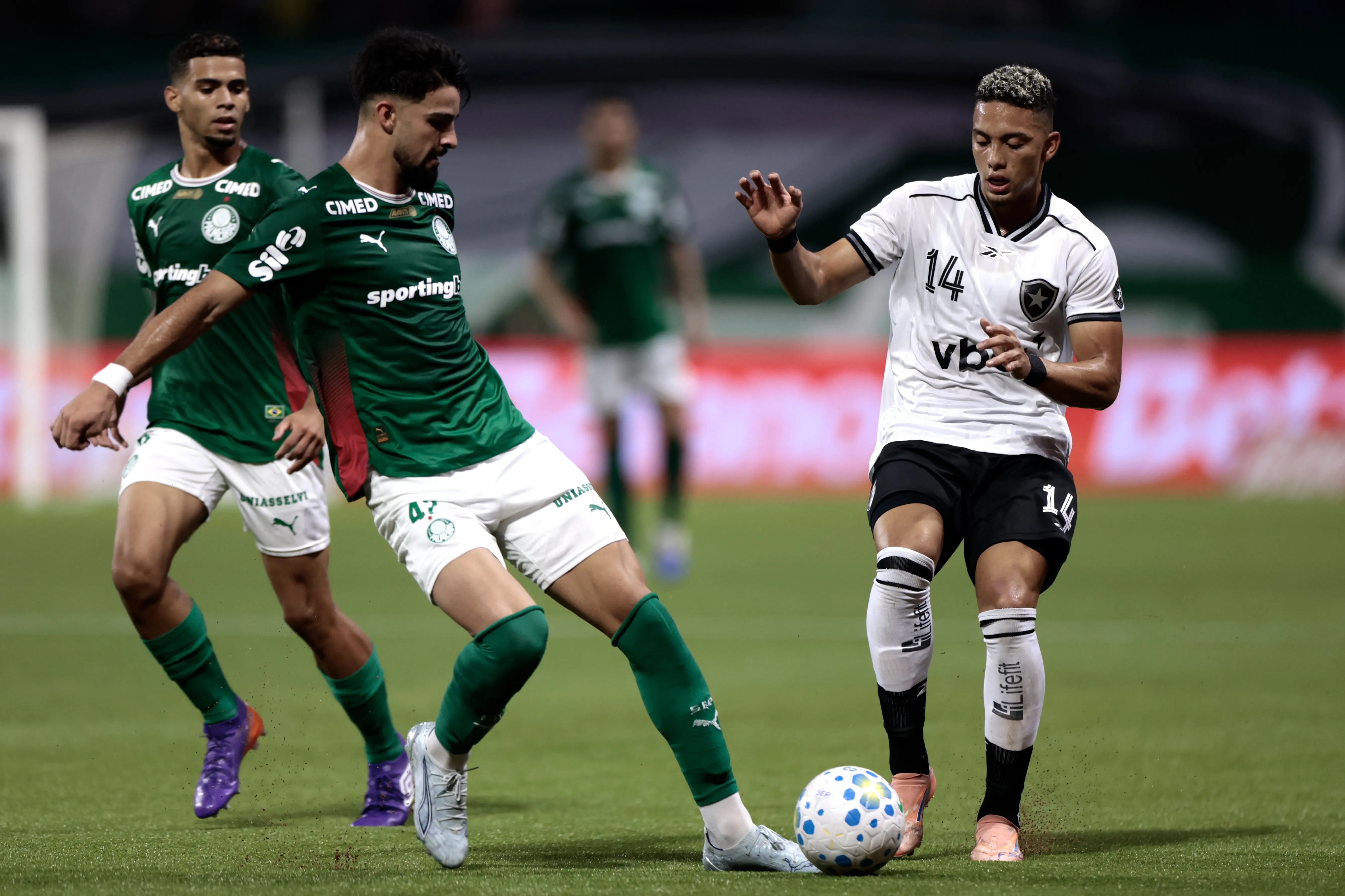 Botafogo perdeu para o Palmeiras pelo Brasileirão. Foto: Marcello Zambrana/AGIF
