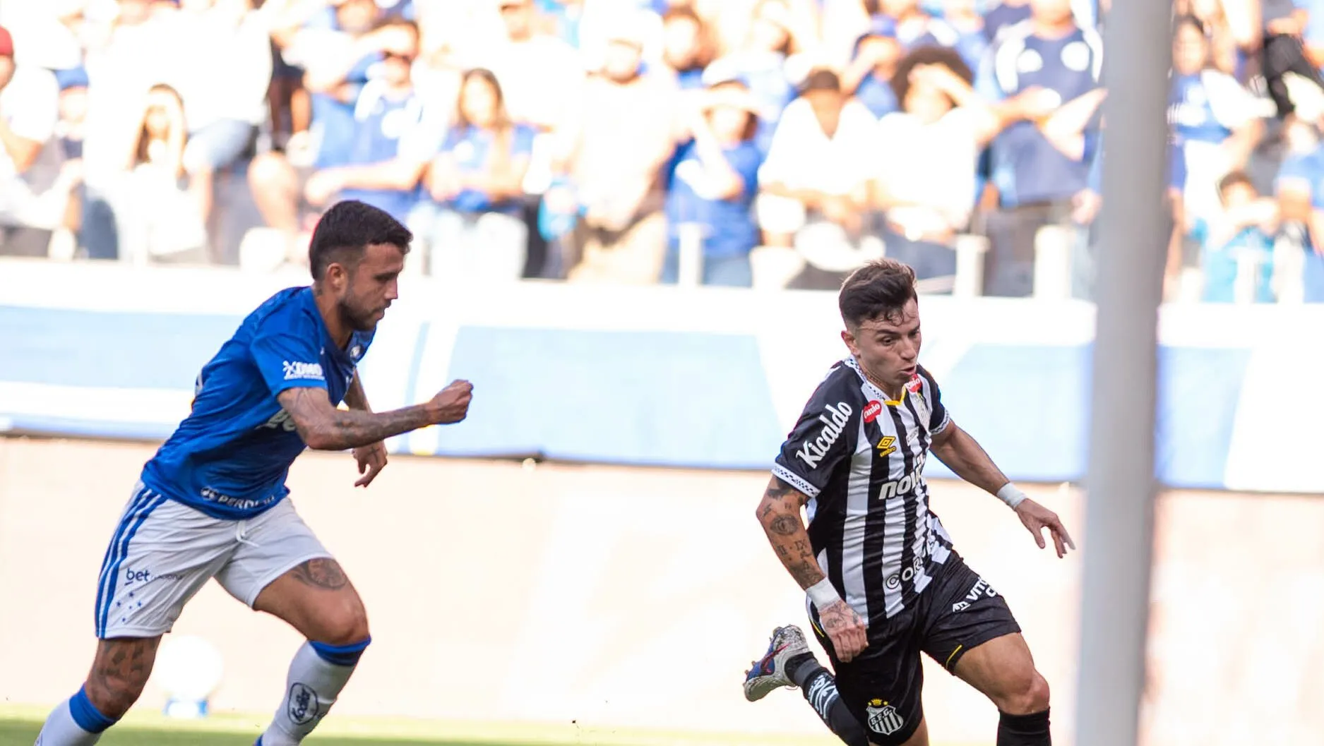 Foto: Alessandra Torres/AGIF – Peixe ficou na bronca com gol anulado de Barreal.