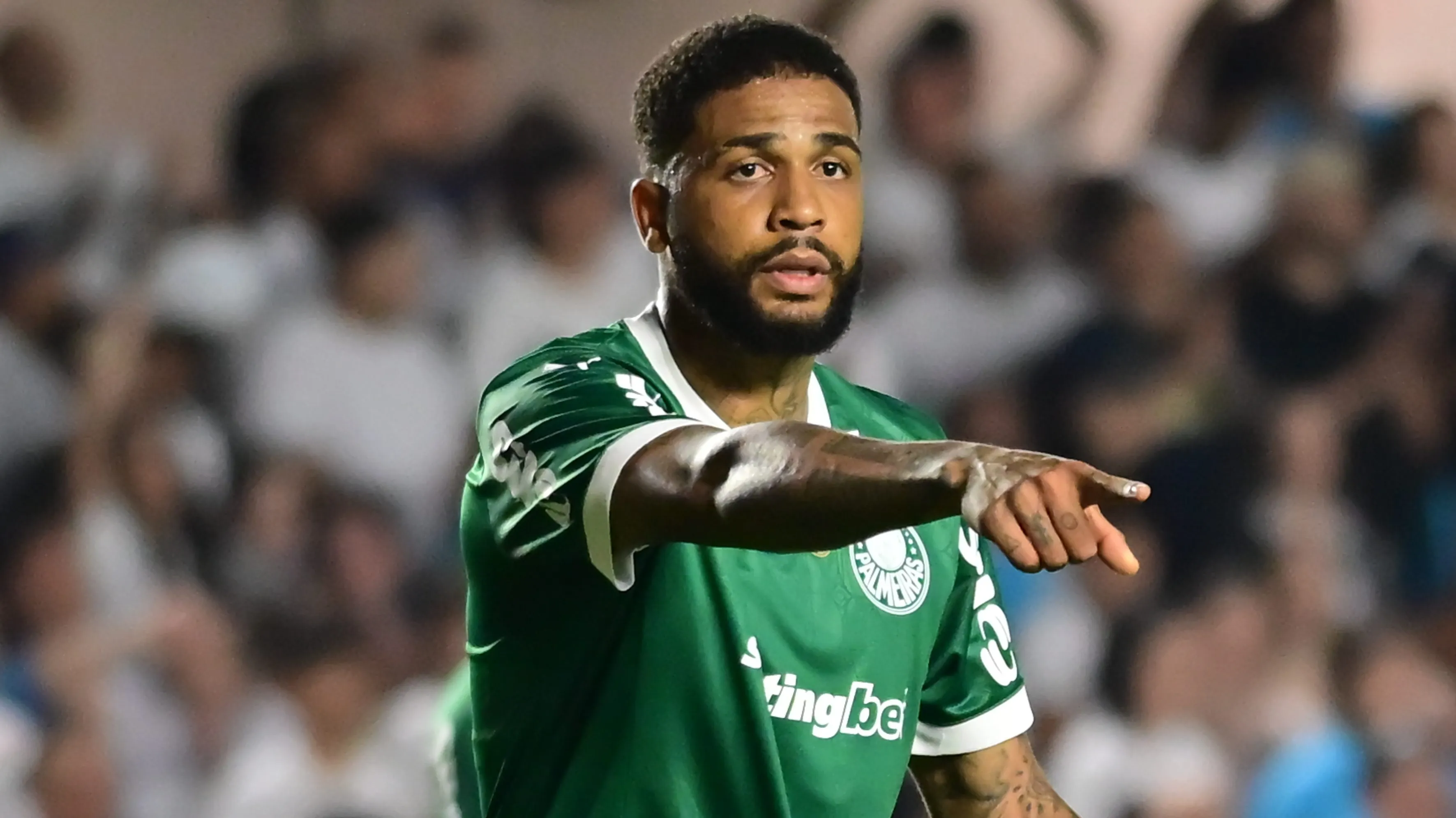 Micael em ação pelo Verdão – Foto: Jota Erre/AGIF