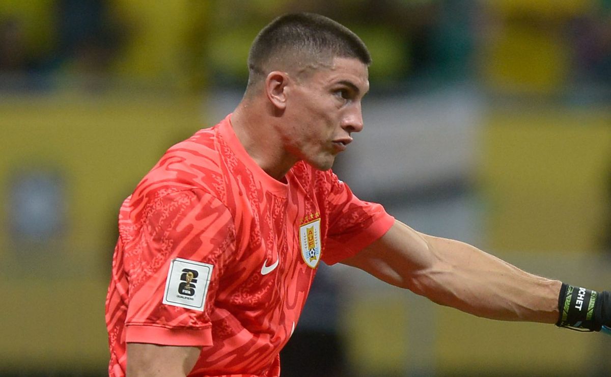 image para ilustrar o artigo