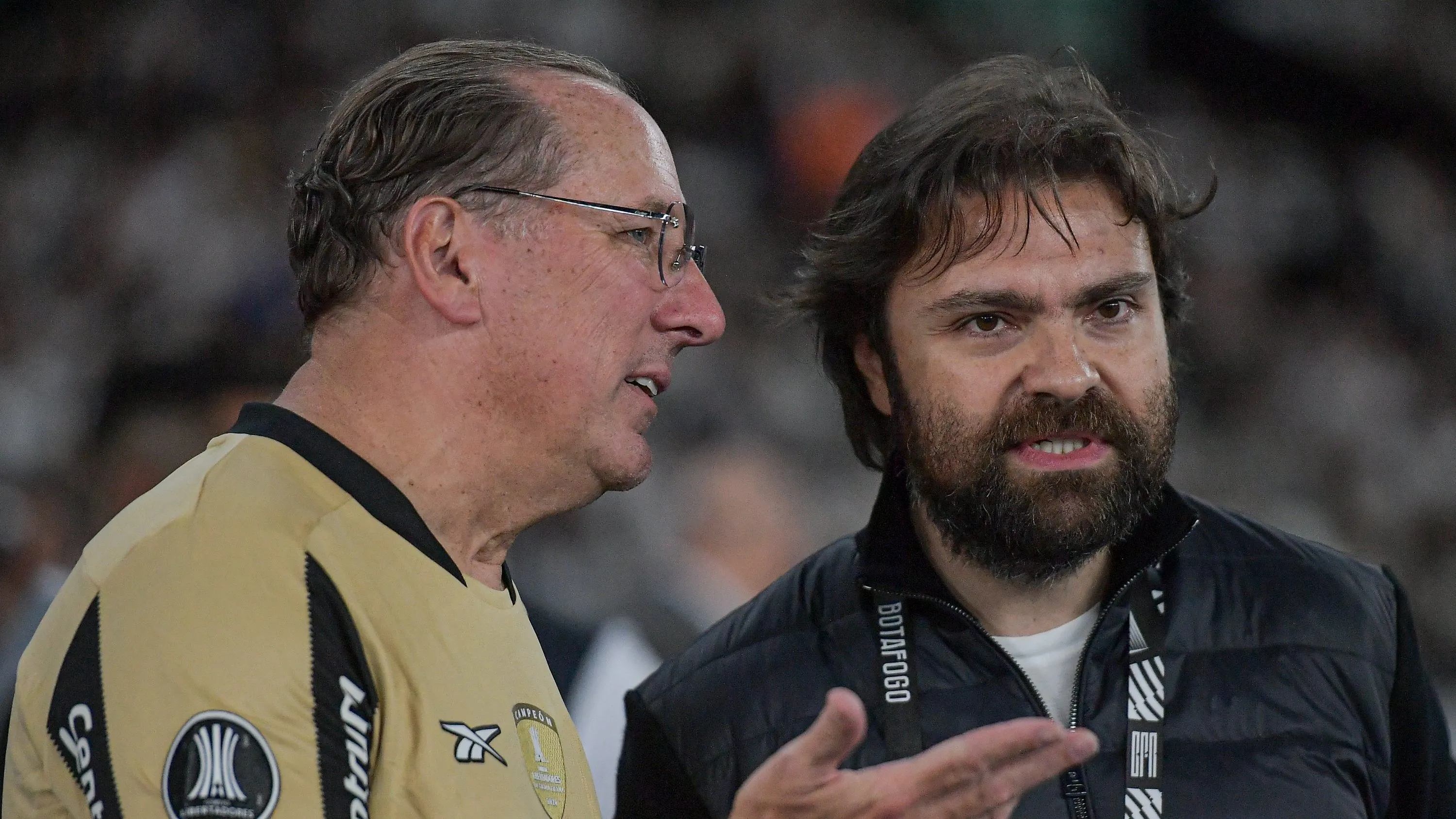 Botafogo. Foto: Thiago Ribeiro/AGIF