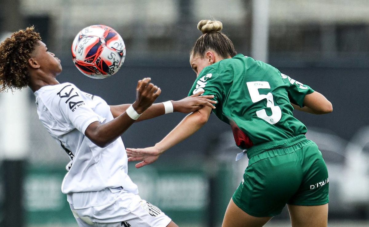 Jogo do Palmeiras x Santos no Brasileirão Feminino Sub-20: horário, escalações e onde assistir