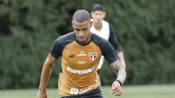 Atacante voltou após grave lesão - Foto: Erico Leonan/São Paulo FC