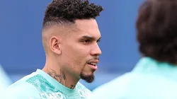 Paulinho segue fora de combate. Foto: Cesar Greco/Palmeiras