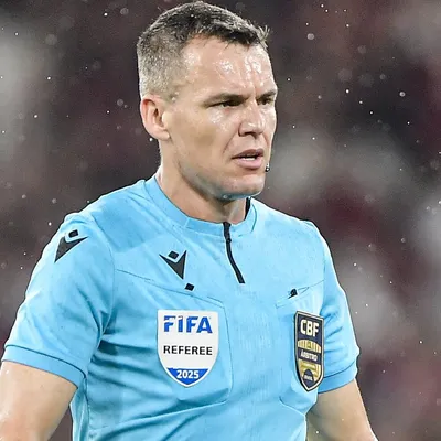 Paulo Cesar Zanovelli valida gol e revolta torcida do Botafogo