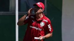 Abel Ferreira vai mudar a escalação por conta da baixa de Piquerez - Foto: César Greco - SEP