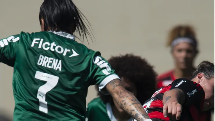 Palmeiras x Flamengo. Foto: Anderson Romão/AGIF