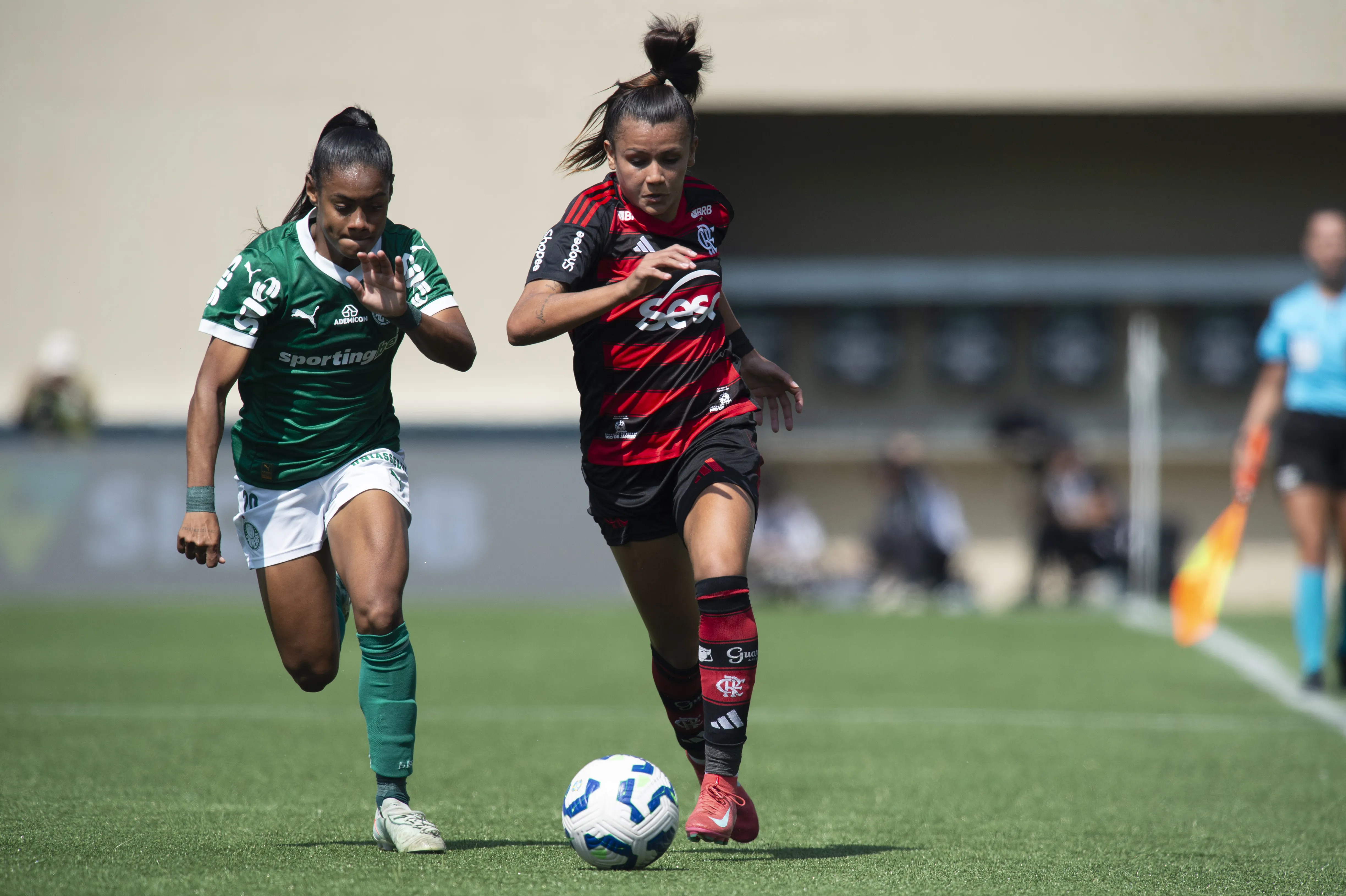 Palmeiras e Flamengo brigam pela liderança. Foto: Anderson Romão/AGIF