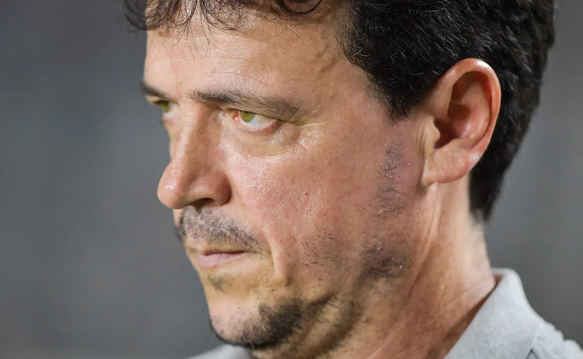 Fernando Diniz causa divisão no Botafogo e Alessandro Brito tenta convencer John Textor