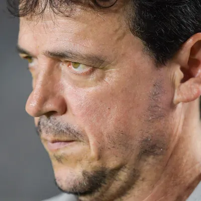 Fernando Diniz causa divisão interna no Botafogo como novo treinador