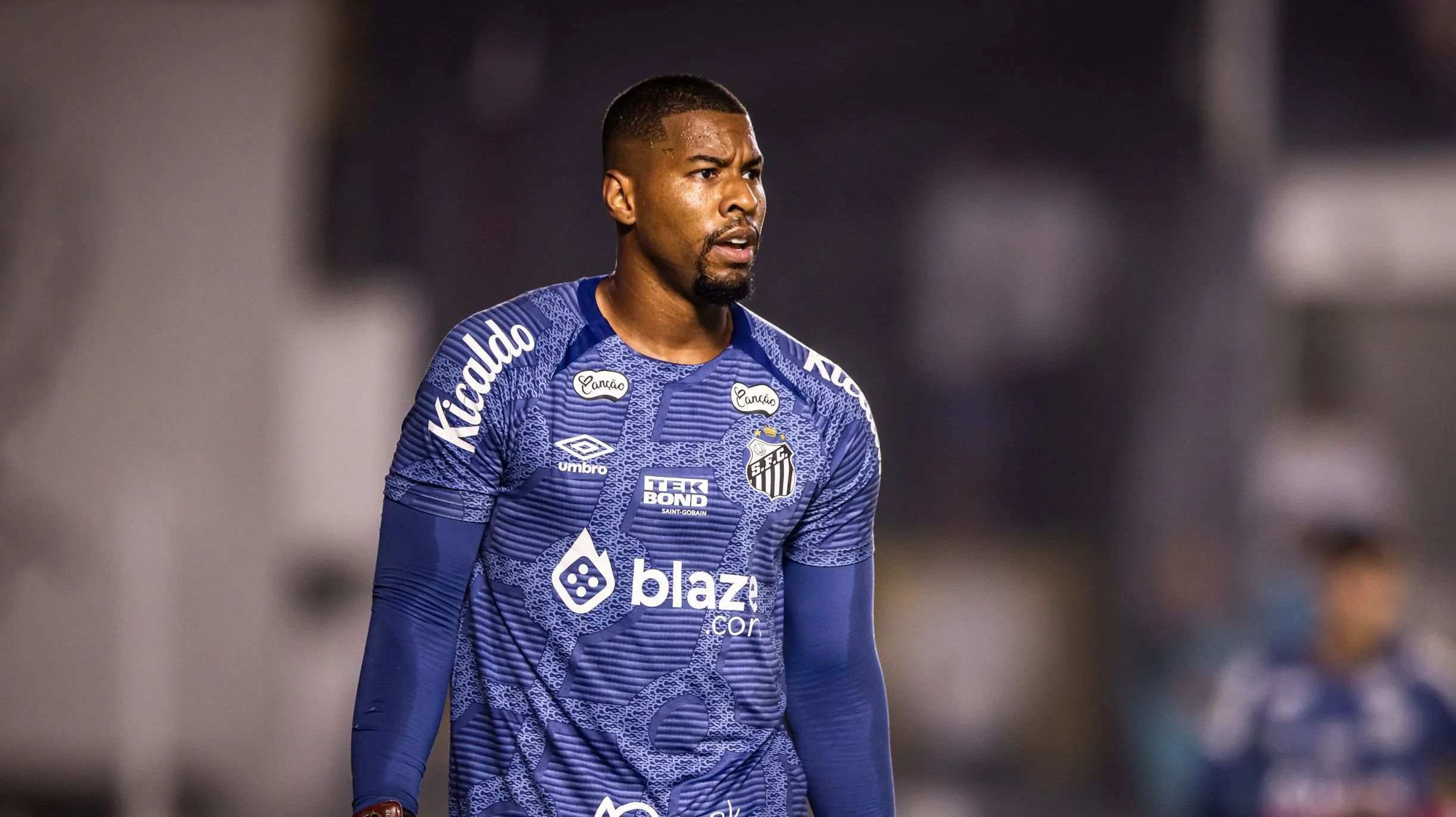 Diógenes, goleiro do Santos. Foto: Abner Dourado/AGIF
