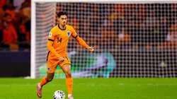 Copyright: Parallax Pictures / Alamy Stock Photo