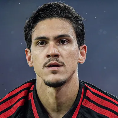 Pedro e Flamengo conversam sobre renovação