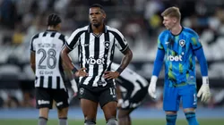 Botafogo volta a jogar no Nilton Santos. Foto: Jorge Rodrigues/AGIF