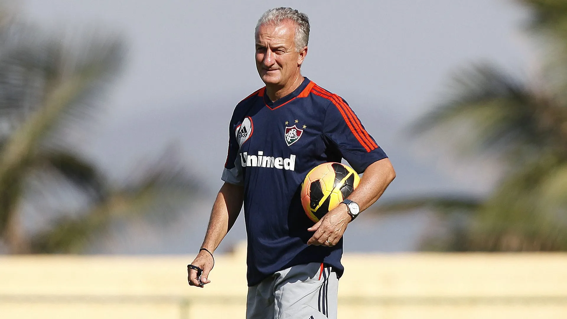 Dorival Júnior, ex-técnico do Fluminense