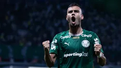 Palmeiras tem bons números como mandante. Foto: Ettore Chiereguini/AGIF