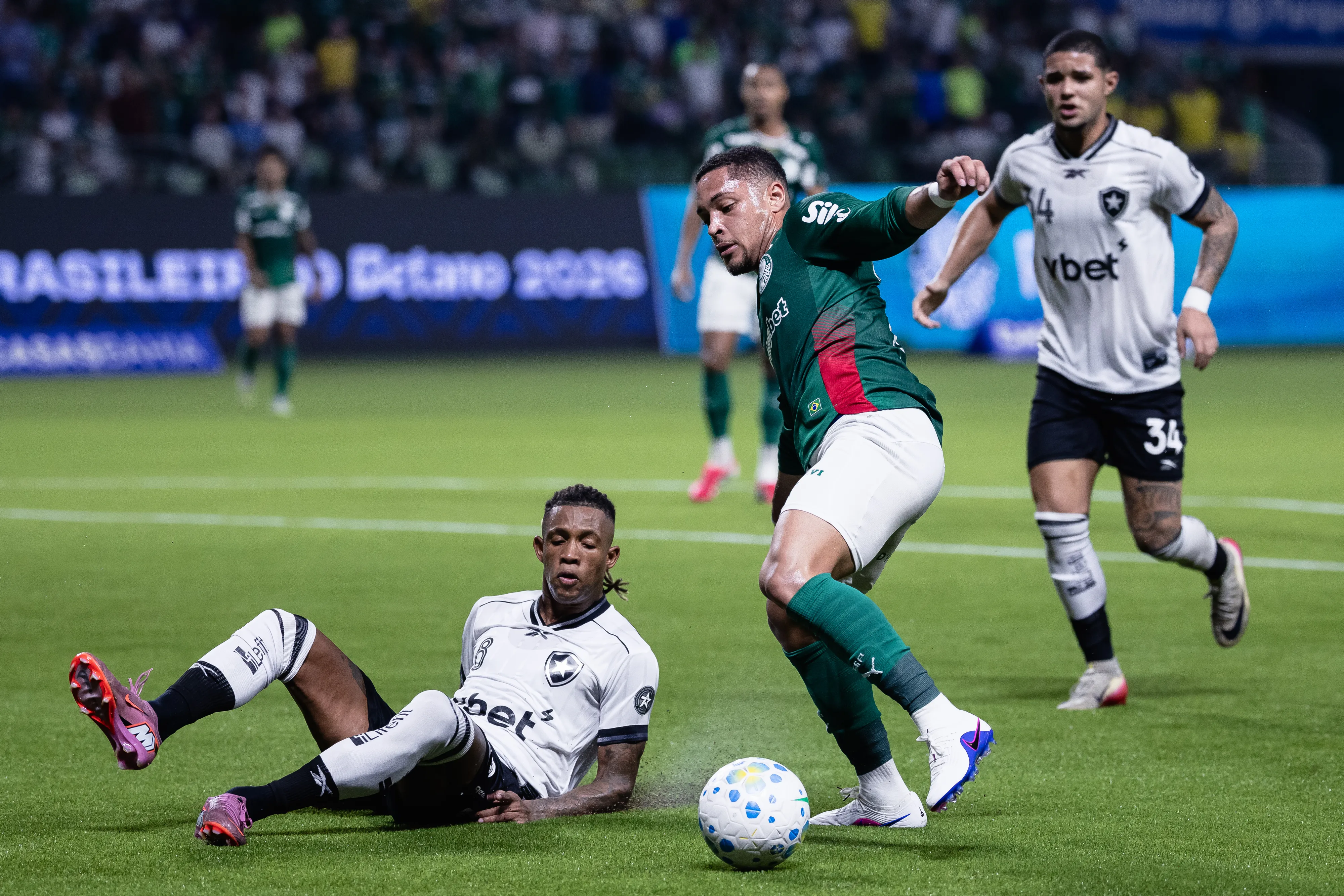 Palmeiras venceu o Botafogo na última partida como mandante no Brasileirão. Foto: Ettore Chiereguini/AGIF