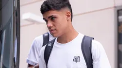 Volante faz grande temporada - Foto: Raul Baretta/Santos FC.