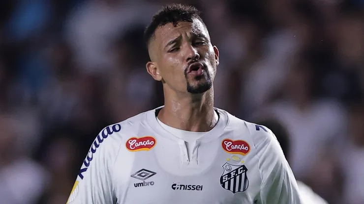 Zé Ivaldo volta a irritar os torcedores do Santos