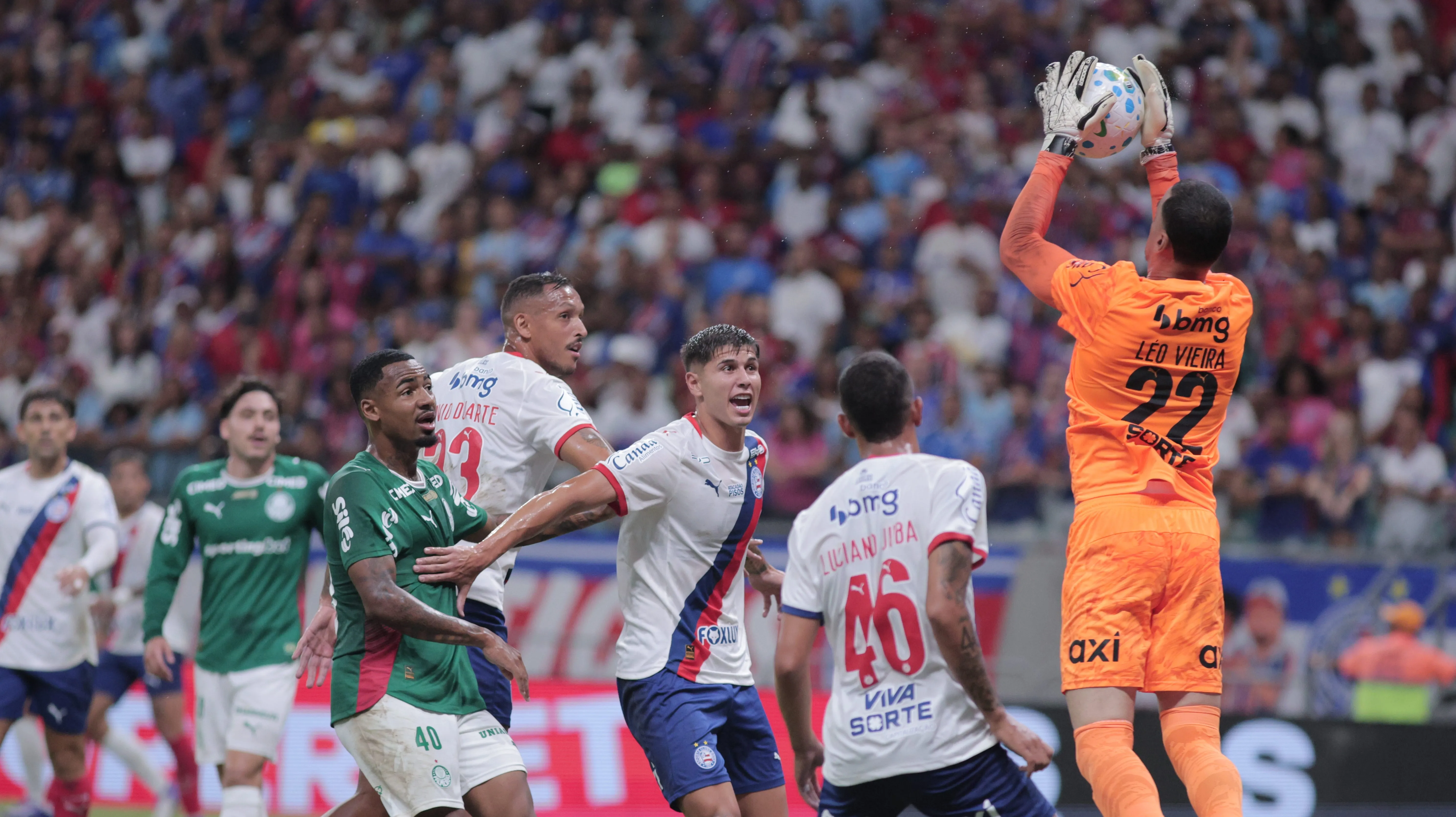 Bahia x Palmeiras. Foto: Marcio Jose/AGIF