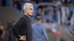 Luís Castro durante Grêmio e Remo