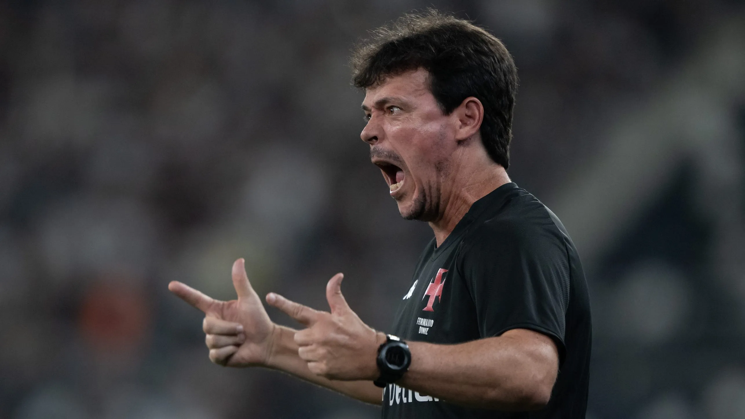 Fernando Diniz não foi bem nessa segunda passagem pelo Vasco - Foto: Jorge Rodrigues/AGIF.