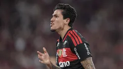 Pedro chega a 161 gols pelo Flamengo. Foto: Thiago Ribeiro/AGIF