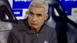 Luís Castro tem demissão descartada.