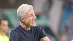 - Luis Castro tecnico do Gremio durante partida contra o Vitoria